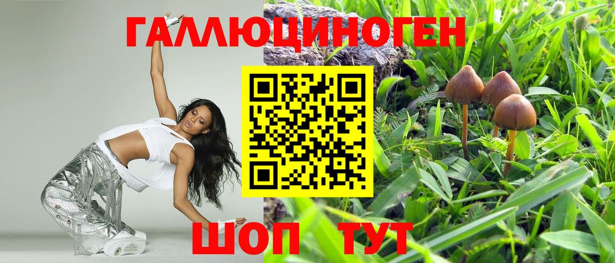 Менделеевск  Псилоцибиновые грибы Magic Shrooms  Вход с VPN  Псилоцибиновые грибы мицелий 